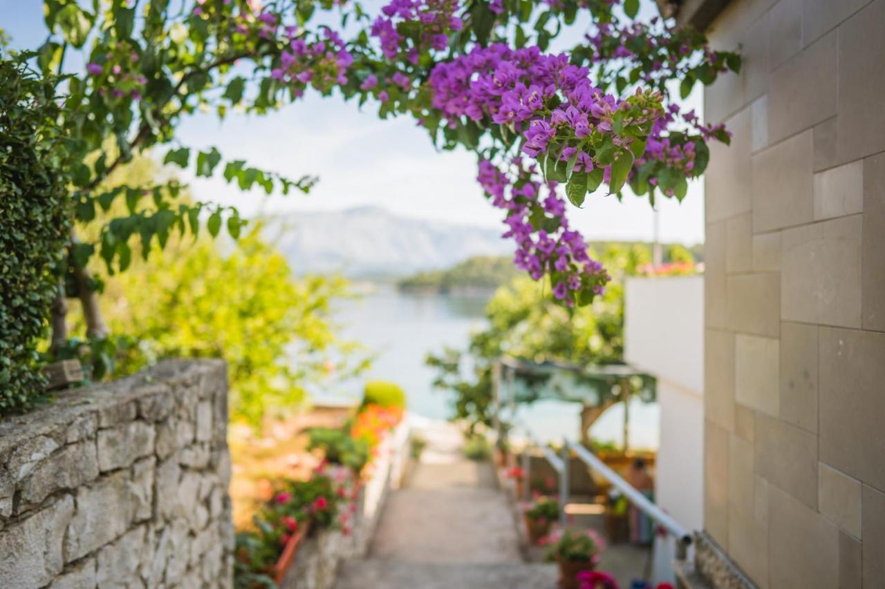 Apartments By The Sea Lumbarda, Korcula - 4446 Dış mekan fotoğraf
