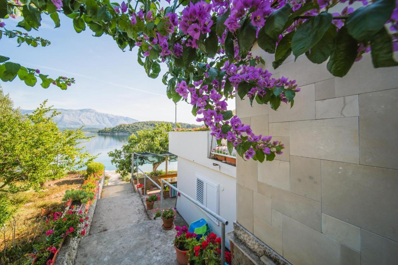 Apartments By The Sea Lumbarda, Korcula - 4446 Dış mekan fotoğraf